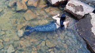 SELKIE SWIMMING IN THE WATER  Seal Mermaid Tail Swimming in Lake Michigan The Magic Crafter [upl. by Leiahtan]