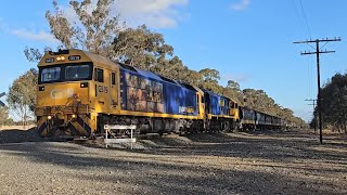 7733V PN empty grain G519 XR559 Geelong to Dimboola 1847 131124 Deep Lead Loop VIC [upl. by Hesther]