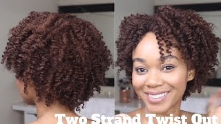 Curls Popin😍Two Strand Twistout Meets Cinnamon Coils of Envy l HerGivenHair [upl. by Eylk]