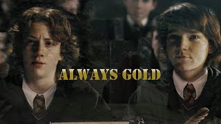 The Marauders  Always Gold [upl. by Bremser]