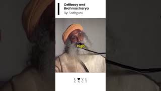 Celibacy and brahmacharya with Sadhguru shorts ytshorts [upl. by Janessa]