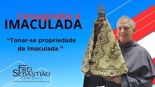 “Tonarse propriedade da Imaculada ” EK 1232  Frei Sebastião Benito Quaglio [upl. by Atiugram]