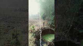 Usha 05 HP water pump pressure shortvideos experiment shortvideo [upl. by Audie]