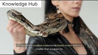 10 interesting facts about snakes [upl. by Merissa]