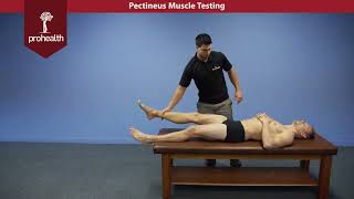 Pectineus Muscle Test Palpation Dr Vizniak Muscle Manual [upl. by Paolina328]