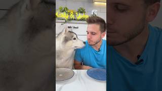 Provo ad INGANNARE il mio CANE🤭🐶😂 cane cani dog dogs dogchallenge [upl. by Neirrad210]