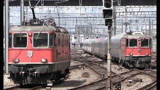 Zürich Hauptbahnhof  SBB CFF FFS Re 420 430  Re 44 II III BoBo  Zugbewegungen August 2023 [upl. by Euqnimod]