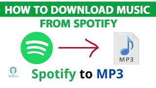 How to Download Music in Spotify 2024 New Method [upl. by Nolahp24]