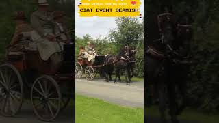 CIAT Attelage Horse Display At Beamish Museum 2024 beamish shorts horsemanship horse horseshow [upl. by Boatwright679]