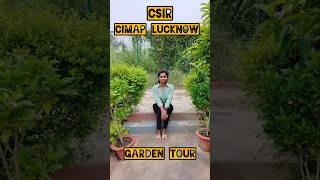 CSIRCIMAP LUCKNOW Garden tour lucknow cimap aromaticplants plantlover csir lucknowcity plant [upl. by Betta]