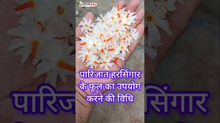 How to use parijat plant flowers [upl. by Sherurd]