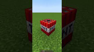 Minecraft TNT vs 1000 Mini TNT🤯もういいよ shorts [upl. by Nylatsyrk]