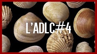 Bivalves et Fougères  lADLC4 [upl. by Spaulding]