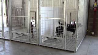 K9 Kennel Store Inside Outside Dog Kennel System [upl. by Shaun]