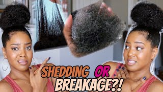 Shedding or Breakage  How To Tell The Difference amp Fix It  Natural Hair  Melissa Denise [upl. by Wildee534]