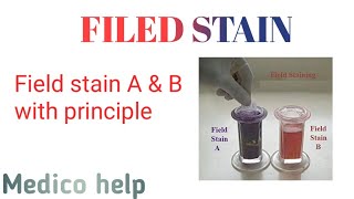 Field stain AampB procedure  gram staining [upl. by Achilles]