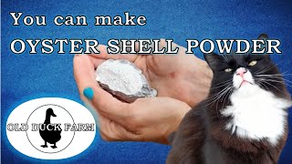 Make your own Oyster Shell Powder [upl. by Anaul]