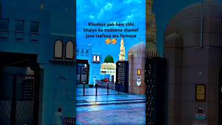 Sarkar e madeena se nisbat ho to ayeshortvideo islam bayan islamicnatok trending viralreels [upl. by Mallorie328]