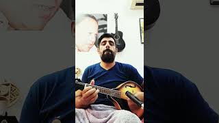 Bhar Do Jholi Meri  Mandolin Cover [upl. by Tremann469]