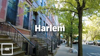 ⁴ᴷ⁶⁰Walking New York City Harlem Brownstones [upl. by Hilliary]