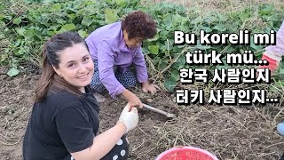 국제커플 튀르키예 아내가 시골에서 밭일을 하는데 다들 놀란 이유는 🇹🇷🇰🇷 [upl. by Gun105]