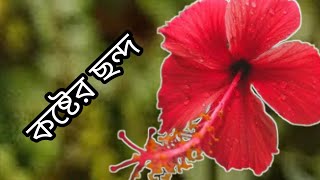 কষ্টের ছন্দ [upl. by Vas]