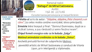 M Sadoveanu ”Baltagul” Audiție Fișă de lectură Caracterizarea personajului principal feminin [upl. by Nonnac]