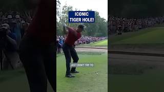 Tiger Woods INCREDIBLE recovery 😱 [upl. by Owena]