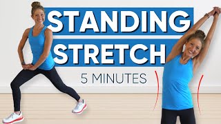 5 Minutes Standing Stretch Exercise QUICK  EASY [upl. by Eemia]