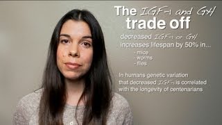 The IGF1 TradeOff Performance vs Longevity [upl. by Merdith]