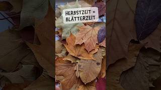 HerbstBlätterWesenGeschichten 🍁 KreativProjektIdee 🍂 illustration kreativestarthilfe kunst [upl. by Shargel]