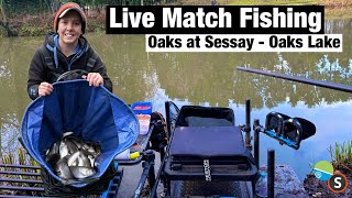 Live Match Fishing  The Oaks at Sessay Oaks Lake [upl. by Yznyl]