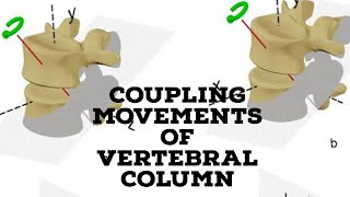 Coupling movement of vertebral column [upl. by Suivatram906]