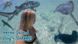 Heron Island Vlog 23 with SHARKS [upl. by Ailema]