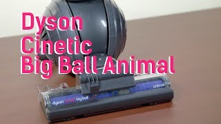 Dyson Cinetic Big Ball Animal Upright Vacuum [upl. by Giulia]