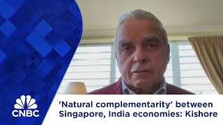 Natural complementarity between Singapore India economies Kishore [upl. by Lehcnom]