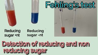 Fehlings test  Princple  Procedure  Uses  Detection of reducing and non reducing sugar  Hindi [upl. by Naitsirk494]