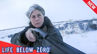 Life Below Zero NEW 2024🔪 Frigid Fortitudes 🔪 Best Hunting Documentaries [upl. by Fillbert113]