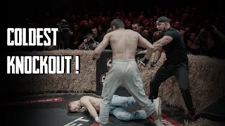 The Most Brutal KO and Fights of BareKnuckle Boxing TOP DOG 31  HIGHLIGHTS [upl. by Nylidam]