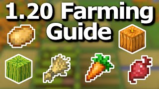 The Ultimate Minecraft 120 Crop Farming Guide  Tips and Tricks to Efficiently Grow Food [upl. by Joelle]