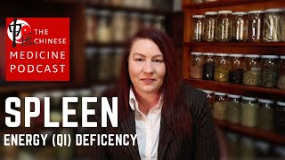 Spleen Energy Deficiency Spleen Qi Xu TCM Explained [upl. by Dewey]