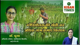 Gladiolus Farming Dr Pooja GuptaAssistant Professor Department of floriculture IGKV Raipur CG [upl. by Mavra]