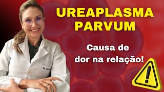 Ureaplasma parvum é uma IST que causa dor na relação [upl. by Arrait]