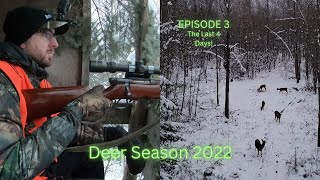 WhiteTailed Deer Hunt 2022 Episode 3 [upl. by Eelarual]