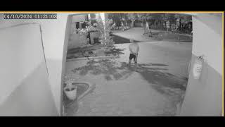 Chori Recorded in CCTV Bhaynkar Planning [upl. by Aisak]