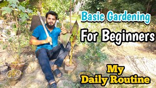 Home Gardening For Beginners  Daily Routine Gardening Tips  Rare Garden [upl. by Catlin195]