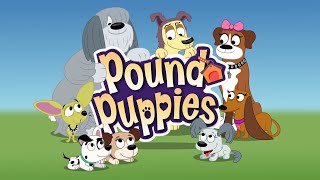 Pound Puppies Season 1 Episode 1  The Yipper Caper [upl. by Sprung819]