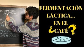 ✔️FERMENTACIÓN LÁCTICA en el CAFÉ ☕ sesión 3 [upl. by Richey]