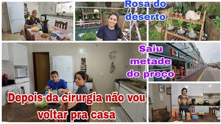 vlognosso dia das criançasfomos comprar os remédiosAmanda ama produtos de beleza alho triturado [upl. by Lleuqar323]