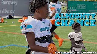 Chance Brewer II 2023 season highlights  Age 9  QBRBOLB  Tri City Dolphins Pee Wee Comp 10U [upl. by Garrot]